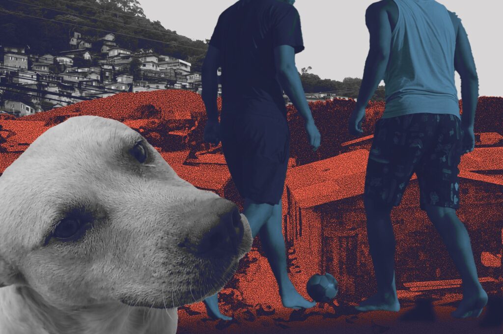 Polícia Militar de Santa Catarina mata cachorro com tiro de fuzil na Favela do Siri, em Florianópolis